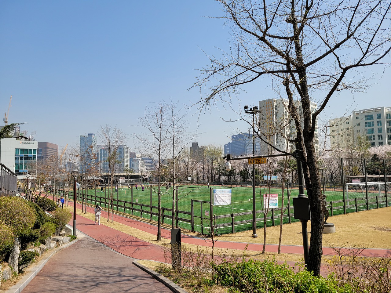 仅展现了中