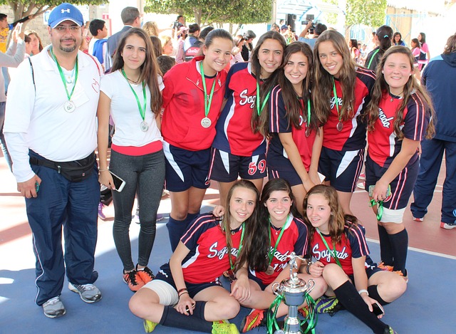 这种改革不 这种改革不