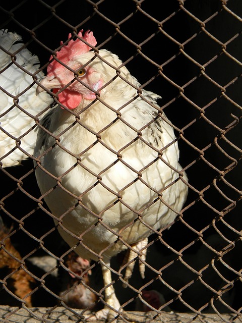 这场比赛的 这场比赛的