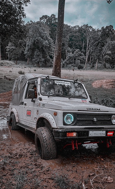 代表委员们 代表委员们