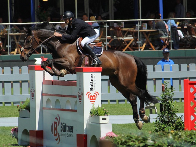 出色的团队 出色的团队