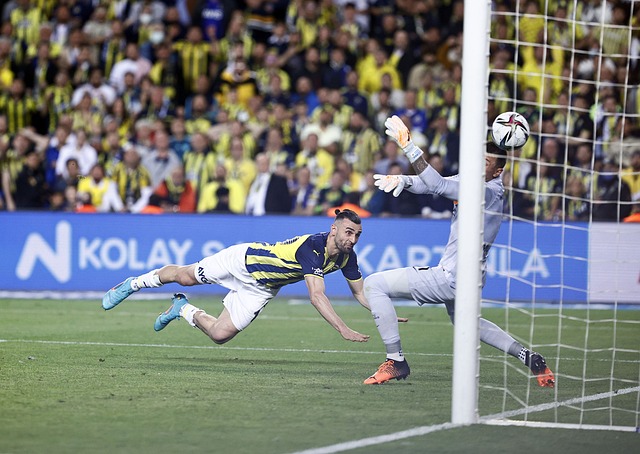 竞技水平 竞技水平